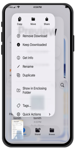 File menu