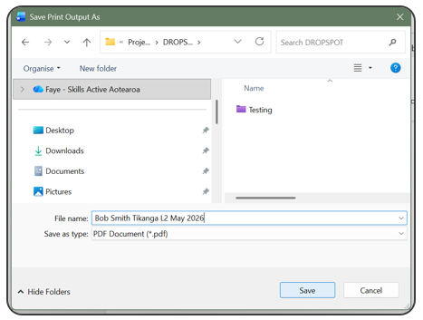 Save print output as
