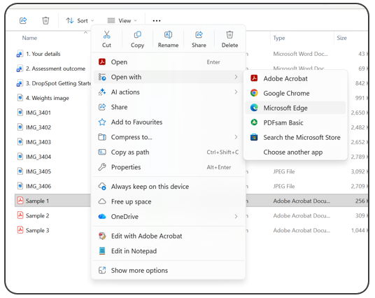File explorer