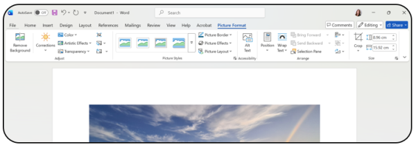 Review document