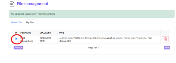 File management