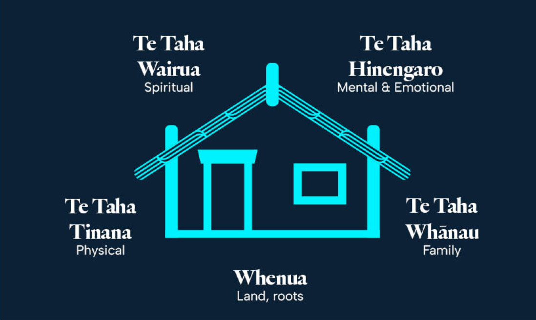 Te whare tapa wha illustration